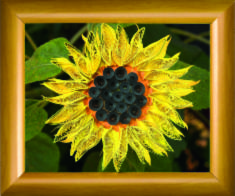 КВ-035 "Sunflower"