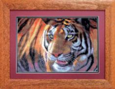 Cross-stitch kit №469 "Tiger"