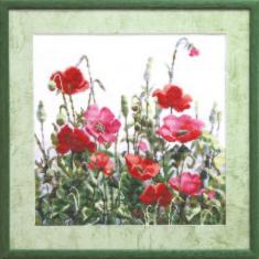 Cross-stitch kit №576 "Poppies in field"