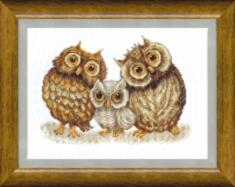BT-067 Counted cross stitch kit Crystal Art "Family of owls"