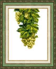 BT-137 Counted cross stitch kit Crystal Art "Amber grapes"