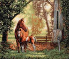 35260 Counted cross stitch kit DIMENSIONS "Mare and Foal"