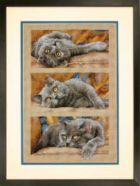 70-35301 Counted cross stitch kit DIMENSIONS "Max the Cat"