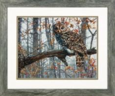 70-35311 Counted cross stitch kit DIMENSIONS "Wise Owl"