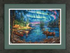 70-35312 Counted cross stitch kit DIMENSIONS "Northern Night"