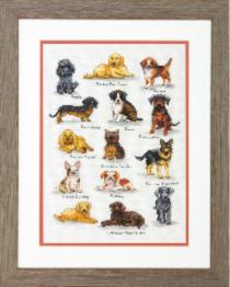 70-35353 Counted cross stitch kit DIMENSIONS "Dog Sampler" 