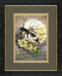 Partial embroidery kit РК-100 "Eagle-owl at night"