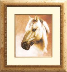 Partial embroidery kit RK-007 "Horse"