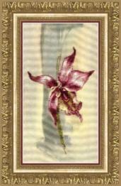 Partial embroidery kit RK-111 "Lilac orchid"