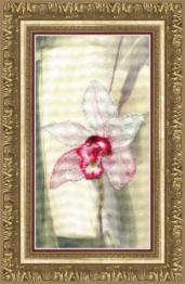 Partial embroidery kit RK-119 "Pink orchid"