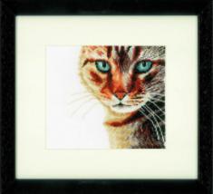 PN-0021202 Counted cross stitch kit "Cat Close-up"