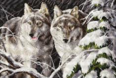 Cross-stitch kit М-367 "Wolves in the winter moonlight "