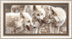 Cross-stitch kit М-126 "White wolves" 