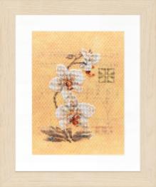 PN-0008008 Counted cross stitch kit LanArte "Three orchids"