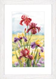 PN-0148482 Counted cross stitch kit Vervaco "Irises at Dawn"