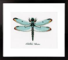 PN-0165453 Counted cross stitch kit Vervaco "Dragonfly"