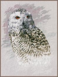 PN-0183826 Cross stitch kit LanArte Snowy Owl "Polar owl"