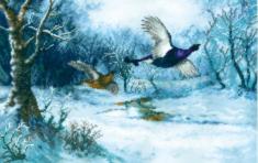 Cross-stitch kit M-428 Counted cross stitch kit "Flying over a silvery stream"
