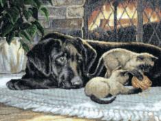 M-483 Counted cross stitch kit "By the fireplace"