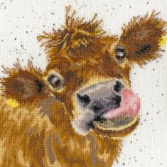 XHD48 Counted cross stitch kit "Moo" Bothy Threads