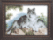 Cross-stitch kit А-149 "Rest in a forest" 