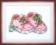 BT-008 Counted cross stitch kit Crystal Art "First steps"
