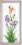 BT-001 Counted cross stitch kit Crystal Art "Fragrant iris"