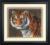 03236 Counted cross stitch kit DIMENSIONS "Tiger"