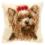 PN-0008538 Vervaco Cross Stitch Cushion "Yorkshire Terrier"