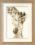 PN-0012183 Counted crossstitch kit Vervaco "Giraffe Family"