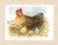 PN-0165381 Counted cross stitch kit LanArte "Mother Hen"
