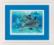 06944 Counted cross stitch kit DIMENSIONS "Deep Sea Dolphins"