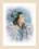 PN-0169168 Counted cross stitch kit LanArte "Asian Lady In Blue"