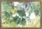 BT-228 Counted cross stitch kit Crystal Art Set of pictures "Tropical leaves"