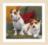 PN-0168042 Counted cross stitch kit LanArte "My 2 companions"