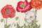 XBD15 Counted cross stitch kit "Poppy blooms" Bothy Threads