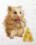 M-528 Counted cross stitch kit "Hamster"