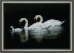 Набор картина стразами Crystal Art КС-1026 "Лебединая семья". Catalog. Kits