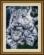 024Т Набор для рисования камнями (холст) "Белая тигрица и детеныш" LasKo. Catalog. Kits