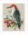 PN-0149691 Набор для вышивки крестом Vervaco Red Woodpecker "Красный дятел зимой". Catalog. Kits
