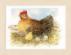 PN-0165381 Набор для вышивки крестом LanArte Mother Hen "Мама курица". Catalog. Kits