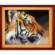 005Т Набор для рисования камнями (холст) "Королевский тигр" LasKo. Catalog. Kits