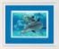 06944 Набор для вышивания крестом DIMENSIONS Deep Sea Dolphins "Глубоководные делифины". Catalog. Kits