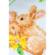 PN-0146336 Набор для вышивания крестом (дорожка на стол) Vervaco Rabbits "Кролики". Catalog. Kits