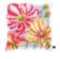 PN-0154564 Набор для вышивания крестом (подушка) Vervaco Colourful flowers "Красочные цветы". Catalog. Kits
