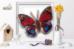 Б-010 Набор для вышивки бисером на прозрачной основе "3-D Бабочка Agrias Claudina Lugens". Catalog. Kits
