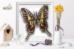 Б-022 Набор для вышивки бисером на прозрачной основе "3-D Бабочка Protographium Philolaus". Catalog. Kits