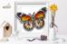 Б-029 Набор для вышивки бисером на прозрачной основе "3-D Бабочка Danaus Chrysippus Alcippus". Catalog. Kits
