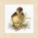 PN-0146975 Набор для вышивки крестом LanArte Duckling I "Утенок I". Catalog. Kits
