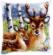 PN-0147043 Набор для вышивания крестом (подушка) Vervaco Deer family "Семья оленей". Catalog. Kits